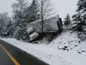 Tractor Trailer Tree Huggin’ Seattle, WA